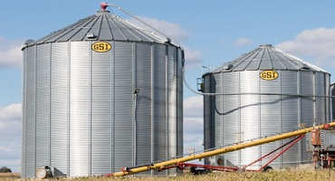 Storage Mold: Precautions to Avoid Grain Spoilage During Storage