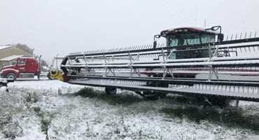 Snow continues to slow Alberta harvest