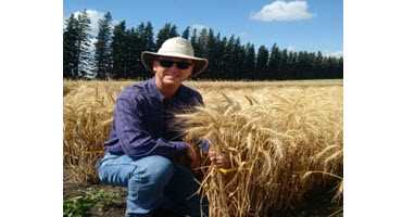 Giving winter wheat a profit boost