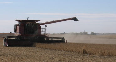 Storing, Drying, and Handling Wet Soybeans