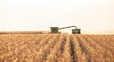 Moisture continues to stall Ont. harvest