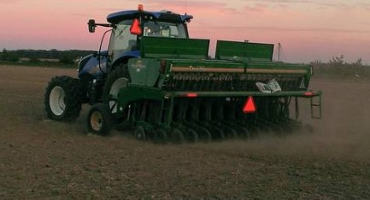 Planting Wheat Late This Fall