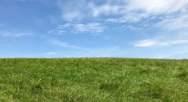 Why You Should Soil Test Your Pastures in Fall 2018