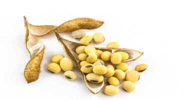 Iran emerging as a U.S. soybean customer