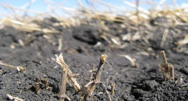 Fall Fertilizer Application Outlook