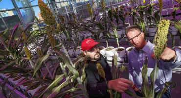 Researchers Aim to Reduce Nitrogen Fertilizer Use