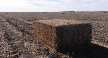 What is the Value of Soybean Residue?