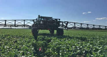 Improving Soybean Health with Foliar Fungicide And Nitrogen