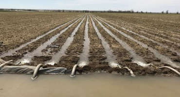 Drought Puts A Pinch On Southern Colorado Agriculture