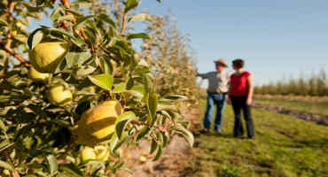 Passage of 2018 Farm Bill could be a boon to WSU