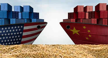 Consequences for Growers Continue to Intensify After Six Months Since China First Tariffed US Soy