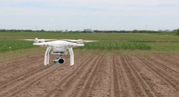 Corn Nitrogen Management Assessment using Multispectral Drone Imagery in Michigan
