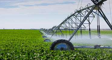 Precision irrigation increases yields