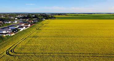 Producers needed for farmland research study
