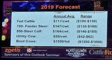 Bigger Beef, Pork and Poultry Supplies in 2019 Could Mean Cattle Price Pressure