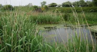 Farm Bureau Insists USDA's New Conservation Rules Must Protect Both Farmland and Wetland