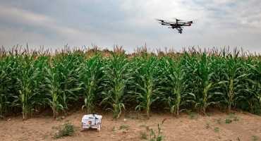 Digital Ag is Cornell’s Newest Radical Collaboration Initiative
