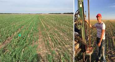 Research Examines Water Balance of Field Peas, Chickpeas and Soybeans vs Fallow
