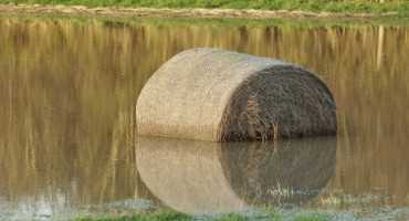 Livestock Hay Exposed to Flooding