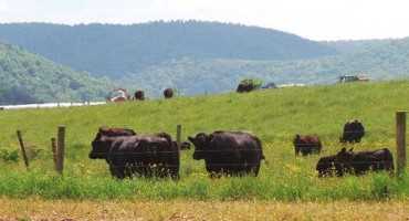 Plan Now for Spring Grazing with These Resources