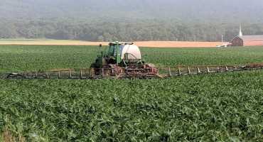 Pesticide Applicator FAQs