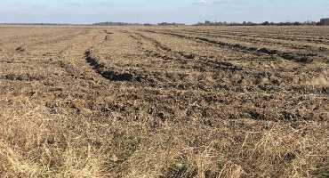 Forecast Rains likely to further Delay Field Work, Spring Planting