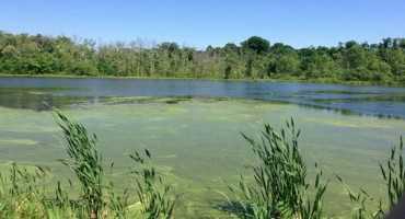 Early Spring Pond Inspections