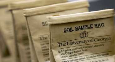 Don't Skip Soil Testing This Spring