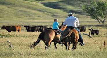 Rancher Encourages Utilizing Cost Share Programs When Planning for 2019 Pasture Restoration or Cropland Conversions