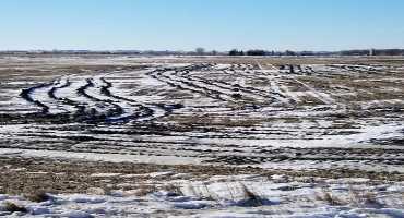 Stuck in a Rut: How to Deal With Field Ruts this Spring