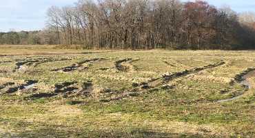 Field Repair and Burndown: Tillage Effects on Weeds