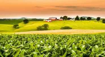 Farm Income Projections Hold a Bit of Good News