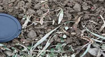 March is Frost Seeding Month in Michigan
