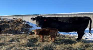 South Dakota Farmers Union Celebrates Wessington Farm Family