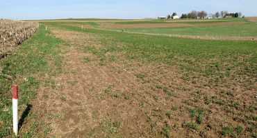 Nitrogen Credits Following Winter-Killed Alfalfa