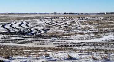 Stuck in a Rut: SDSU Extension Offers Tips on How to Deal with Field Ruts