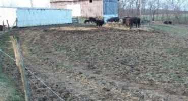 Winter Feeding and Pasture Areas; What to do?