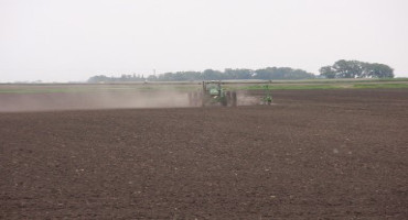 Corn Planting Guidelines to Reduce Risk and Maximize Economic Return