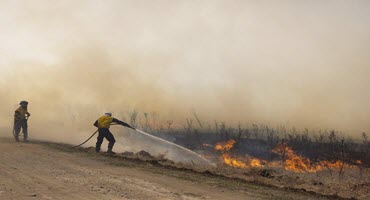 Fire relief efforts for Biggar, Sask. ranchers