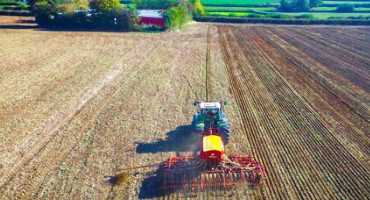 Planting Date and Corn Yield