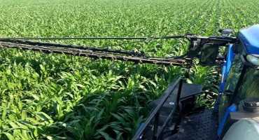 Technology that Pays: Feeding Crops on the Go with Sensor Technology