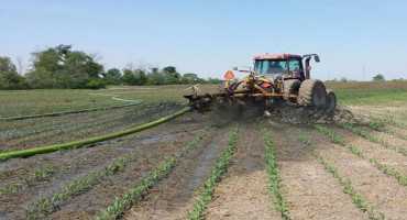 Applying Manure to Newly Planted Crops