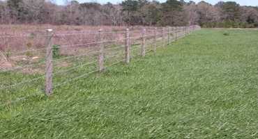 Fencing Guidance for Flooded Land