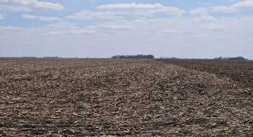 Prevented Plant: Considerations for Corn and Soybean