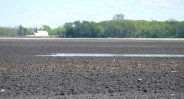 What this Spring’s Wet Conditions mean for Nitrogen Loss