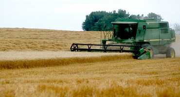 Oklahoma's 2019 Wheat Harvest Kicks Off with Combines Rolling in Southwest Oklahoma