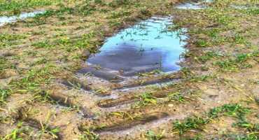 Crop Insurance Prevented Planting Coverage for Field Crops