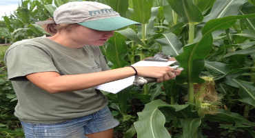 5 things to consider before collecting plant tissue samples