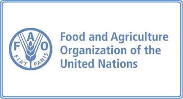 FAO to elect next director general 