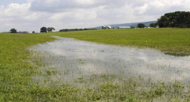 Management of Wet Soils, Now and in the Future